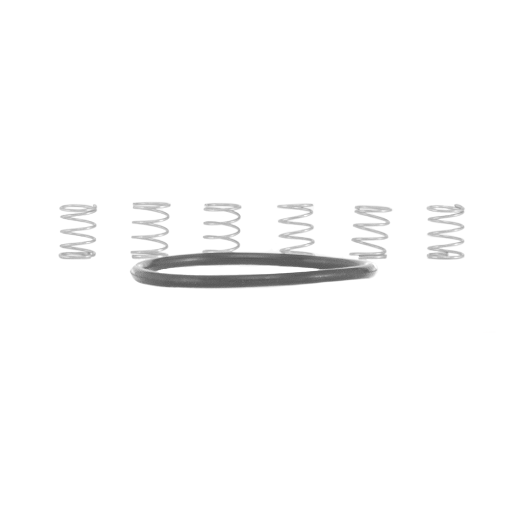 Small Parts - Torch - MTN - Pawl Spring Kit (Includes Drive Side O-ring) - Industry Nine